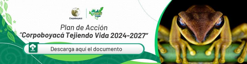 Ir a Plan de Acción 2024-2027